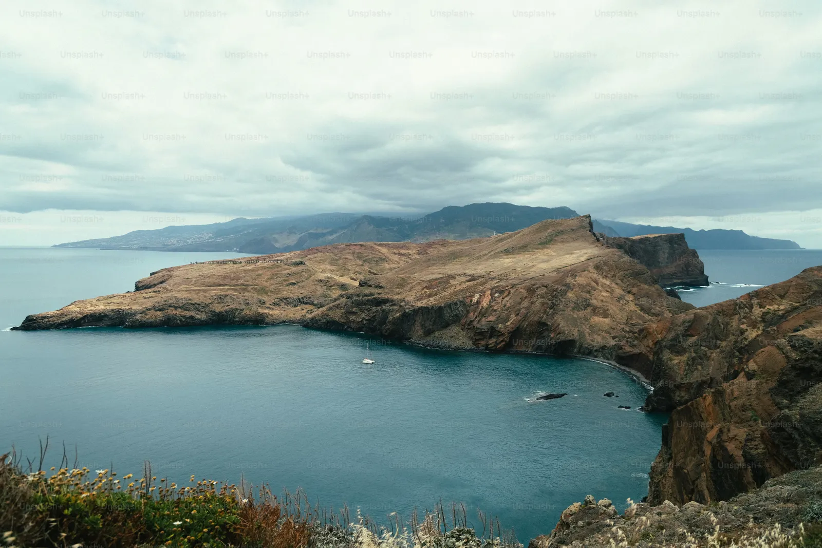 Café Especial Sendo Extraído
